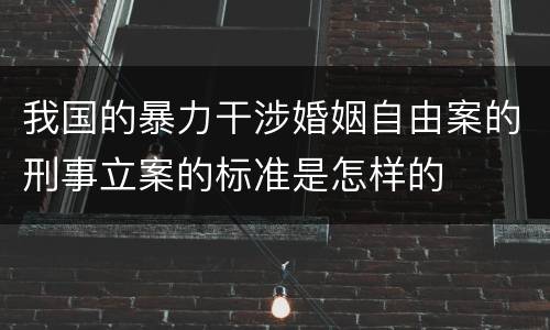 我国的暴力干涉婚姻自由案的刑事立案的标准是怎样的