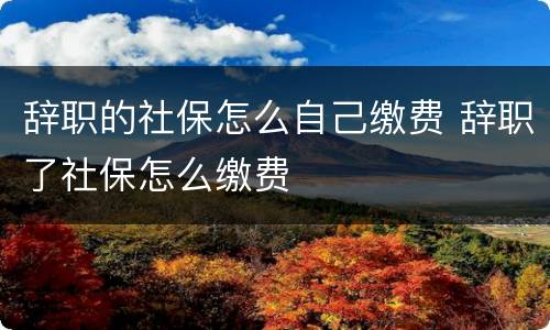 辞职的社保怎么自己缴费 辞职了社保怎么缴费