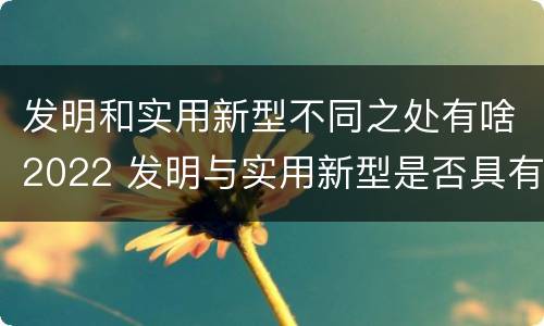 发明和实用新型不同之处有啥2022 发明与实用新型是否具有实用性