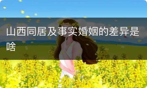 山西同居及事实婚姻的差异是啥