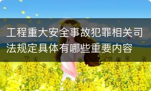 工程重大安全事故犯罪相关司法规定具体有哪些重要内容