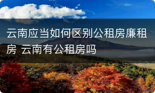 云南应当如何区别公租房廉租房 云南有公租房吗