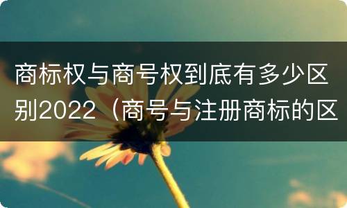 商标权与商号权到底有多少区别2022（商号与注册商标的区别）