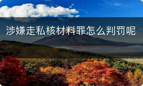 涉嫌走私核材料罪怎么判罚呢