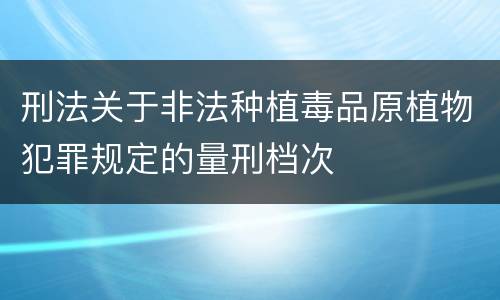 刑法关于非法种植毒品原植物犯罪规定的量刑档次