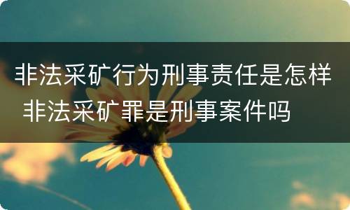 非法采矿行为刑事责任是怎样 非法采矿罪是刑事案件吗