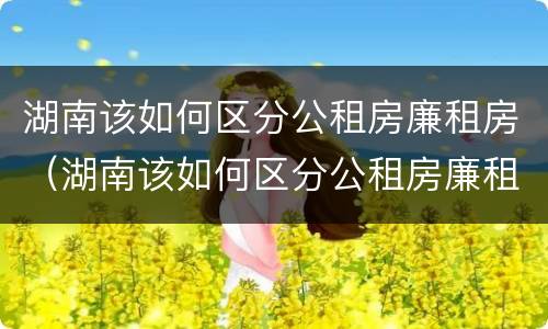 湖南该如何区分公租房廉租房（湖南该如何区分公租房廉租房呢）