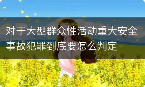 对于大型群众性活动重大安全事故犯罪到底要怎么判定