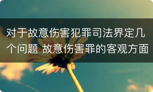 对于故意伤害犯罪司法界定几个问题 故意伤害罪的客观方面