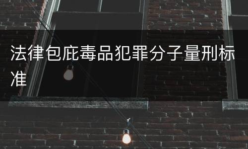 法律包庇毒品犯罪分子量刑标准