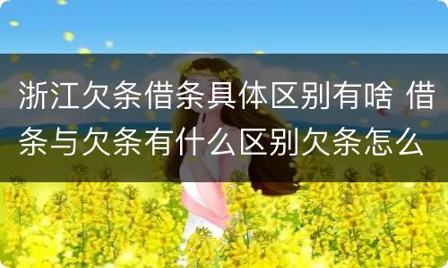 浙江欠条借条具体区别有啥 借条与欠条有什么区别欠条怎么写