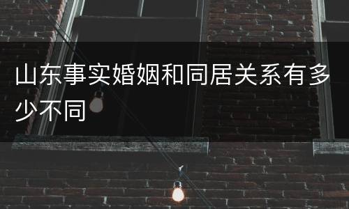 山东事实婚姻和同居关系有多少不同