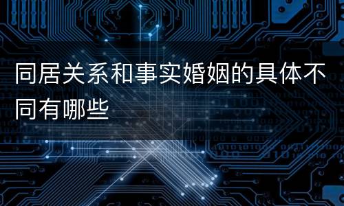 同居关系和事实婚姻的具体不同有哪些