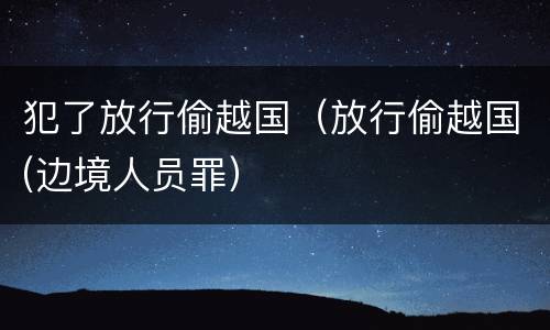 犯了放行偷越国（放行偷越国(边境人员罪）