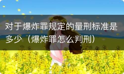 对于爆炸罪规定的量刑标准是多少（爆炸罪怎么判刑）