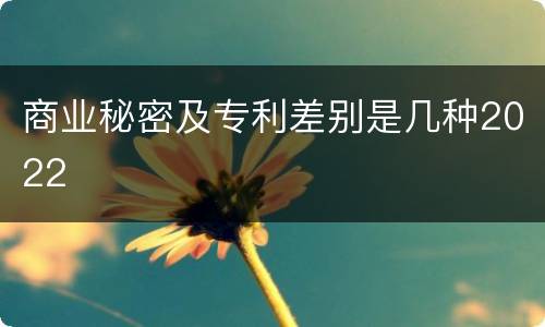商业秘密及专利差别是几种2022