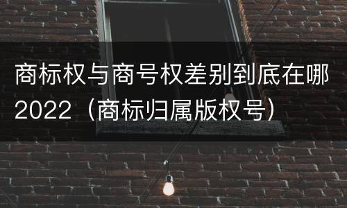 商标权与商号权差别到底在哪2022（商标归属版权号）