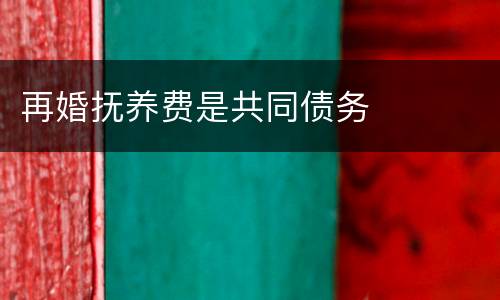 再婚抚养费是共同债务