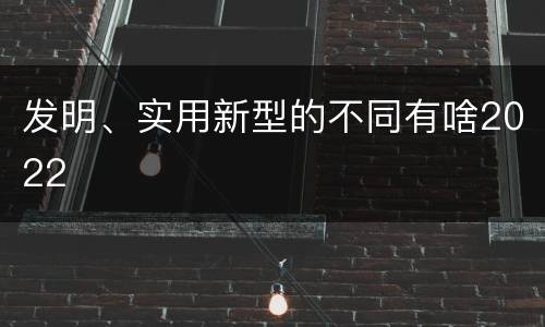 发明、实用新型的不同有啥2022