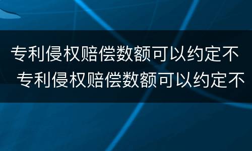 专利侵权赔偿数额可以约定不 专利侵权赔偿数额可以约定不执行吗