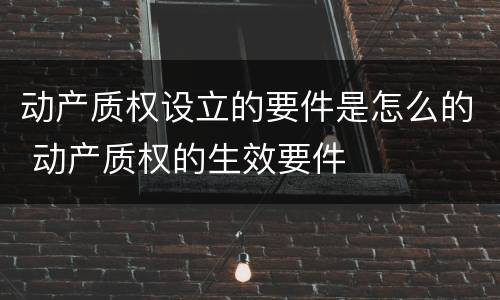 动产质权设立的要件是怎么的 动产质权的生效要件
