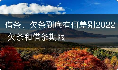借条、欠条到底有何差别2022 欠条和借条期限