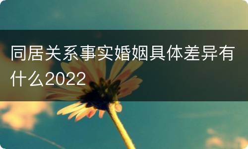 同居关系事实婚姻具体差异有什么2022