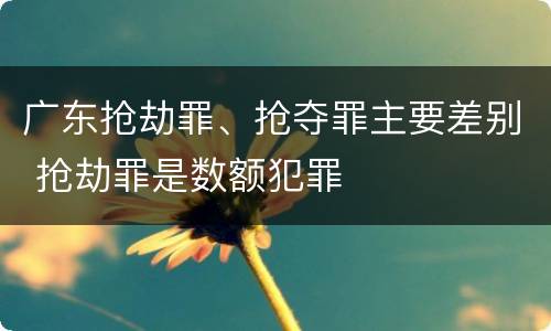 广东抢劫罪、抢夺罪主要差别 抢劫罪是数额犯罪