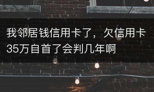 我邻居钱信用卡了，欠信用卡35万自首了会判几年啊