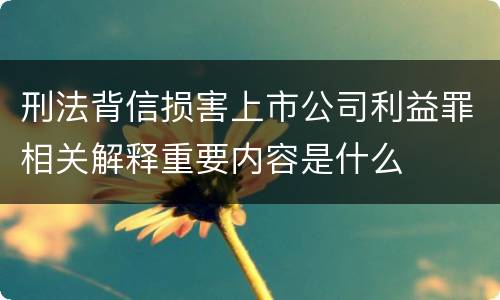 刑法背信损害上市公司利益罪相关解释重要内容是什么