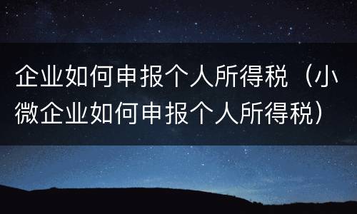 企业如何申报个人所得税（小微企业如何申报个人所得税）