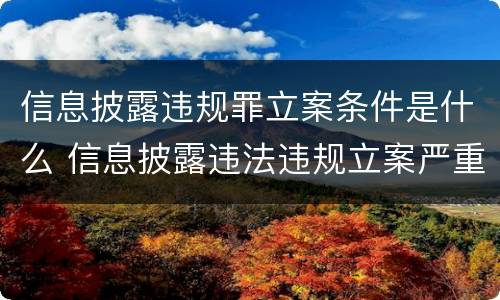 信息披露违规罪立案条件是什么 信息披露违法违规立案严重吗