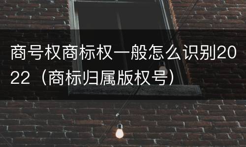商号权商标权一般怎么识别2022（商标归属版权号）