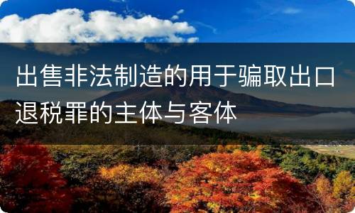 出售非法制造的用于骗取出口退税罪的主体与客体