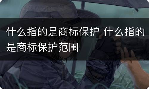 什么指的是商标保护 什么指的是商标保护范围