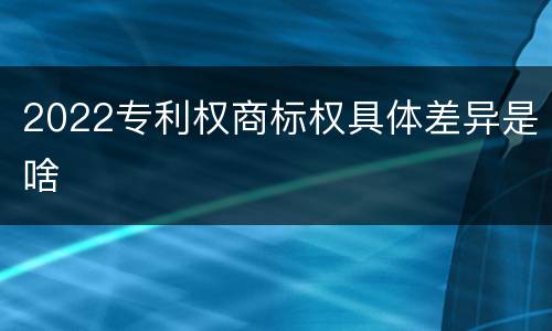 2022专利权商标权具体差异是啥