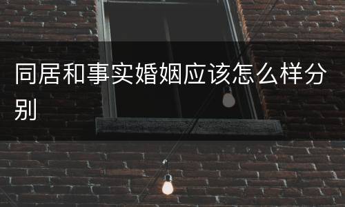 同居和事实婚姻应该怎么样分别
