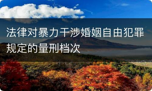 法律对暴力干涉婚姻自由犯罪规定的量刑档次