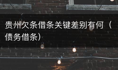 贵州欠条借条关键差别有何（债务借条）