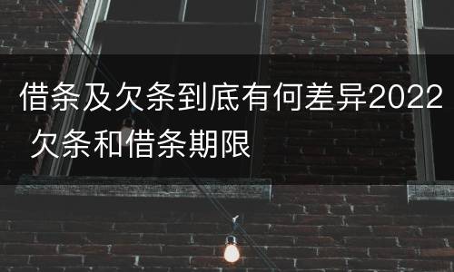 借条及欠条到底有何差异2022 欠条和借条期限