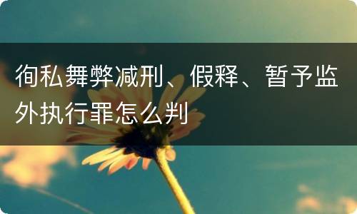 徇私舞弊减刑、假释、暂予监外执行罪怎么判