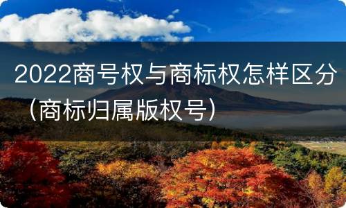2022商号权与商标权怎样区分（商标归属版权号）