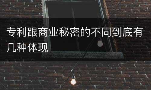 专利跟商业秘密的不同到底有几种体现