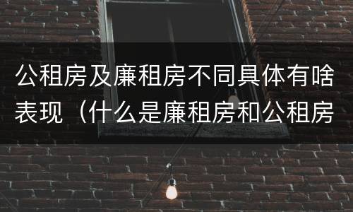 公租房及廉租房不同具体有啥表现（什么是廉租房和公租房两个有什么特点）