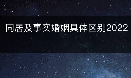 同居及事实婚姻具体区别2022