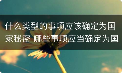 什么类型的事项应该确定为国家秘密 哪些事项应当确定为国家秘密