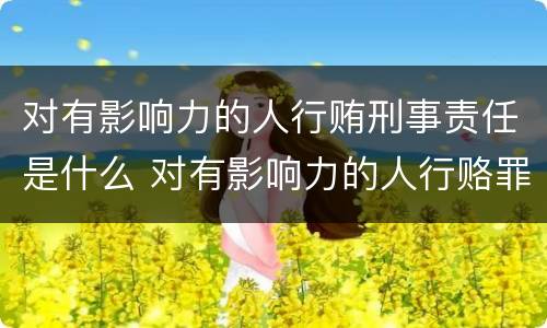 对有影响力的人行贿刑事责任是什么 对有影响力的人行赂罪的犯罪构成