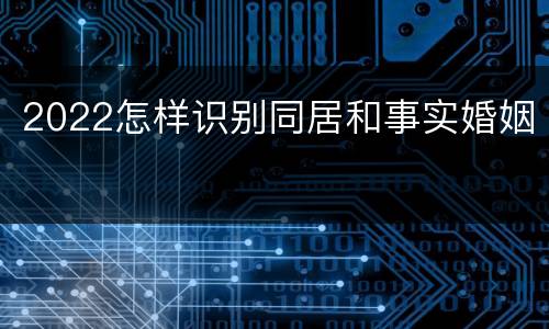 2022怎样识别同居和事实婚姻