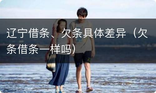 辽宁借条、欠条具体差异（欠条借条一样吗）