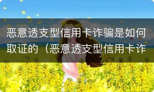 恶意透支型信用卡诈骗是如何取证的（恶意透支型信用卡诈骗是如何取证的呢）